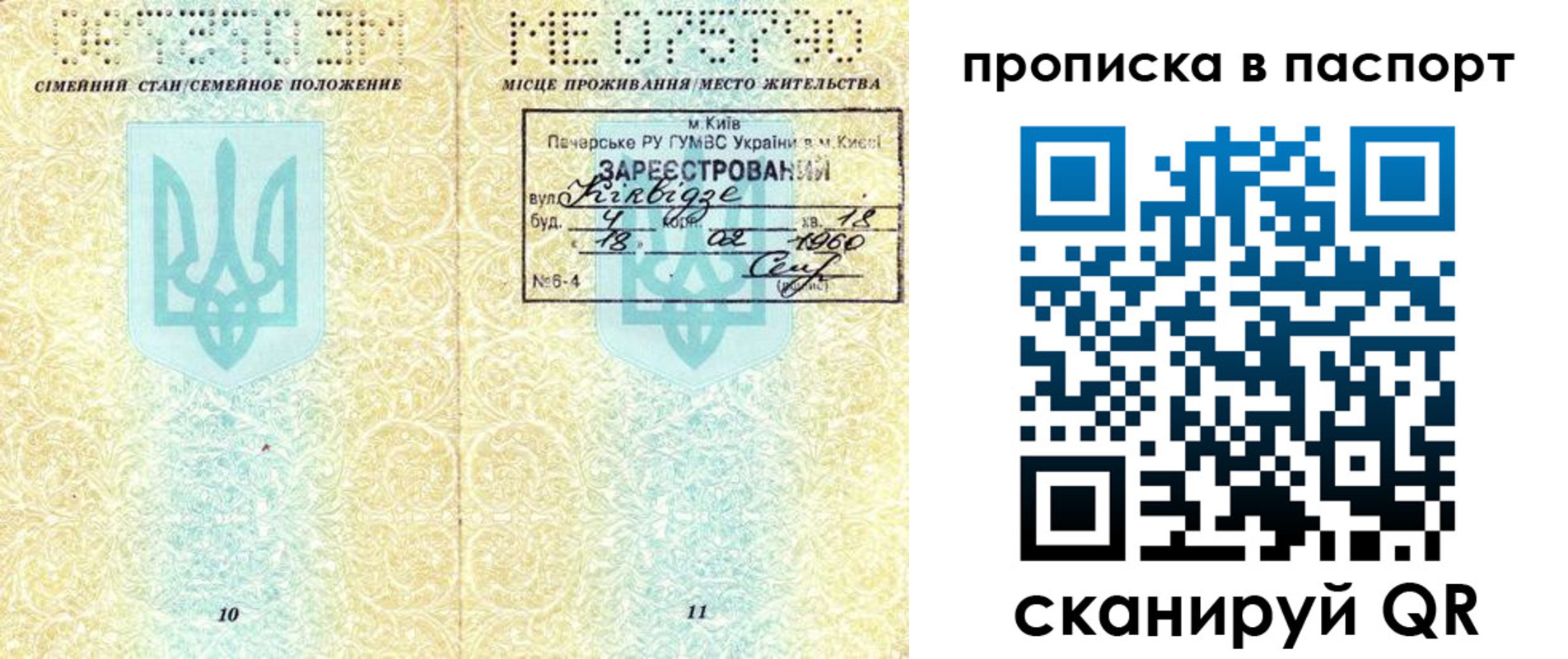 прописка паспорт в Домодедово